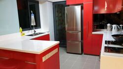 Blk 1 The Pinnacle@Duxton (Bukit Merah), HDB 5 Rooms #502325111